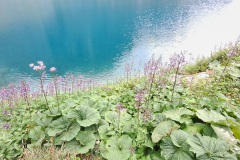 Czarny Staw pod Rysami (1583m)