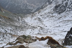 Ascent to Jahňací štít, at Kolový priechod (2118 meters)