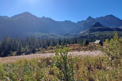 Near Murowaniec