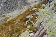 Ascent to Pyšný štít (somewhere off the trail)