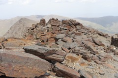 Mulhacén (3479 meters)