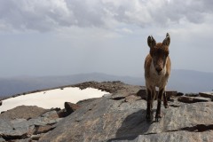 Mulhacén (3479 meters)