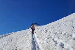 Walking on the Ortlerferner