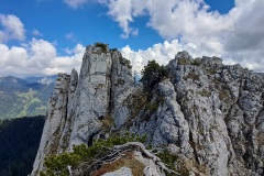 Plankenstein (1768m AMSL)