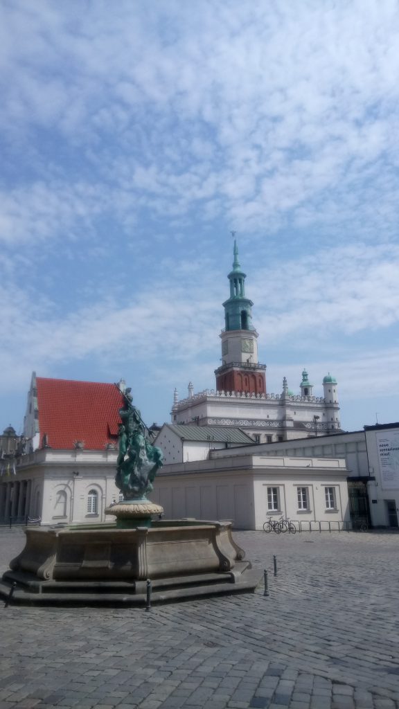 Stary Rynek, Ratusz w Poznaniu (background)