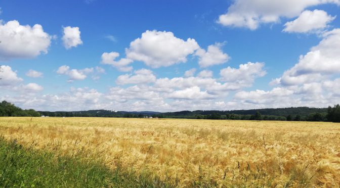 Summer weekend in South Bohemia: Třeboň, České Budějovice