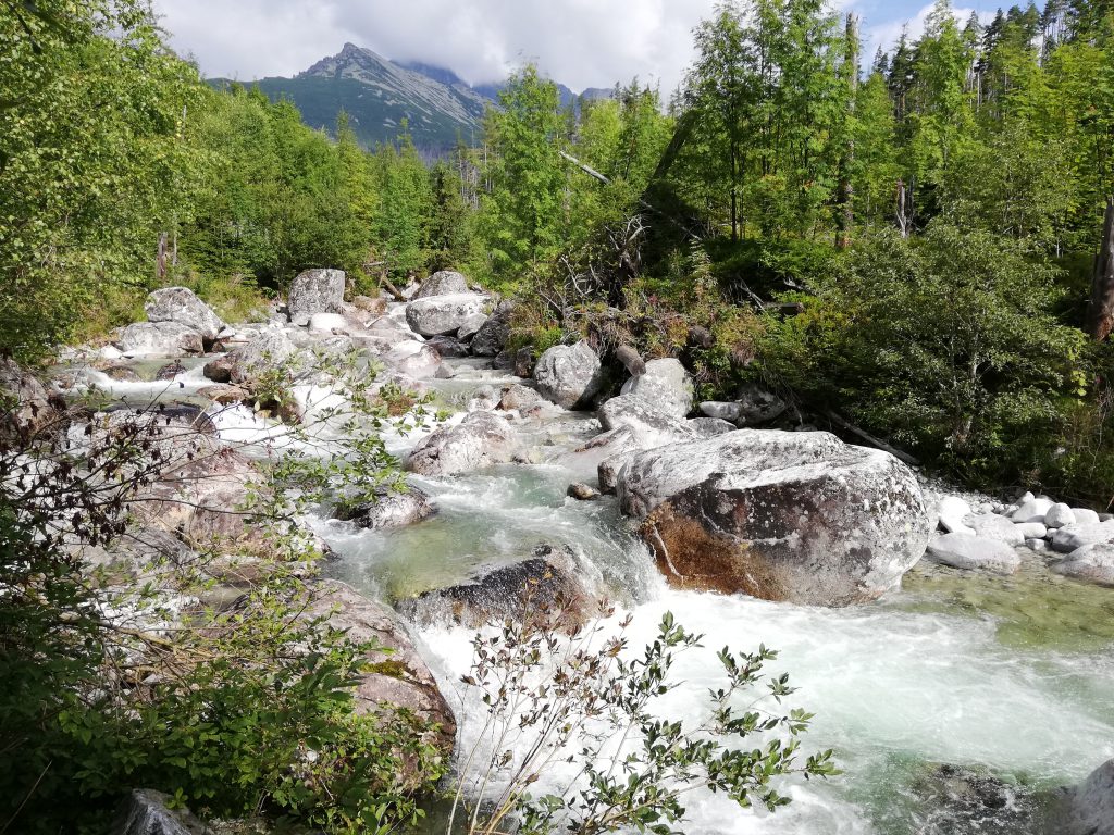 Near Tatranská Lesná, stream Studený potok