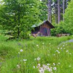 Zelená chýše (Grüne Hütte)