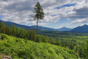 From Sučany to Malý Kriváň on the blue marked trail