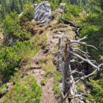 Path to Buchstein